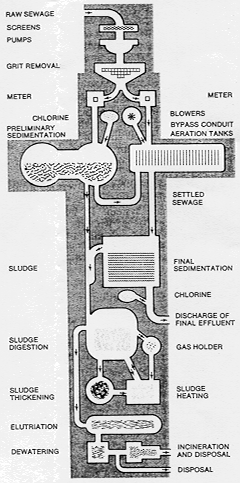 diagram.gif (91472 bytes)